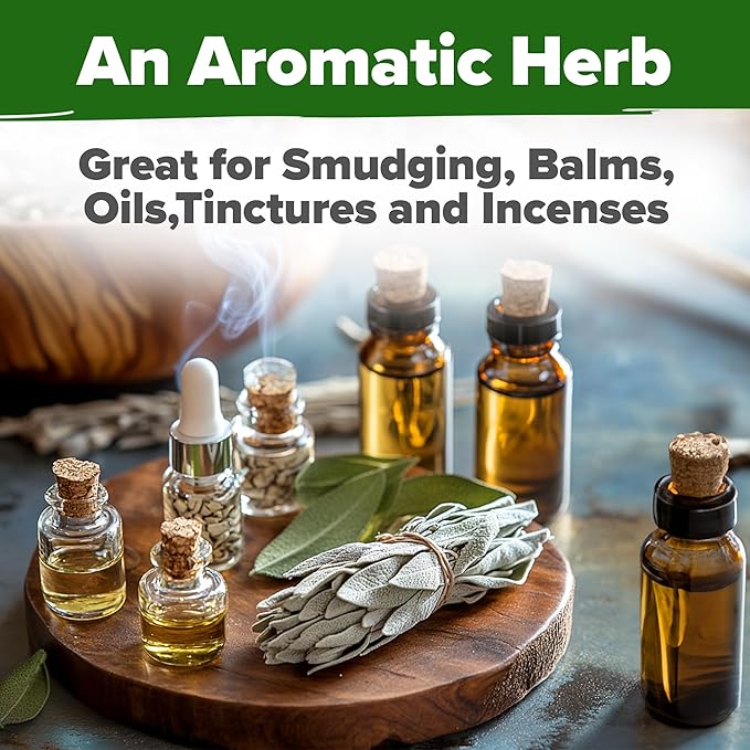 HOME GROWN White Sage Seeds 646 Pack Heirloom Seeds - Grow Aromatic Sage Plants for Your Herb Seeds Garden with Sage for Planting Outdoor or Indoor (Salvia apiana)