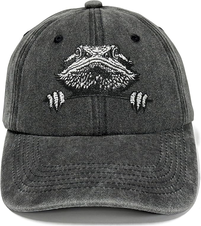 Embroidered Baseball Hats for Men and Women