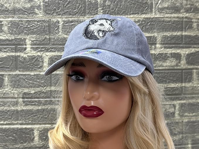 Embroidered Baseball Hats for Men and Women