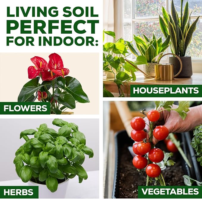 Organic Potting Soil for Indoor Plants. Boost House Plant Growth for Monstera, Fiddle Leaf, Money Tree, Pothos, Snake Plant, Aroid, Flowers, Herbs, Veggies, & More, Smart Grower 3 LB Ready to Plant