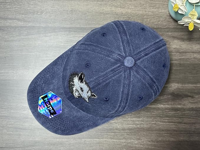 Embroidered Baseball Hats for Men and Women