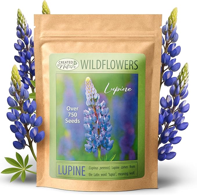 Created by Nature Blue Lupine Seeds, 750 Perennial Wildflower Seeds
