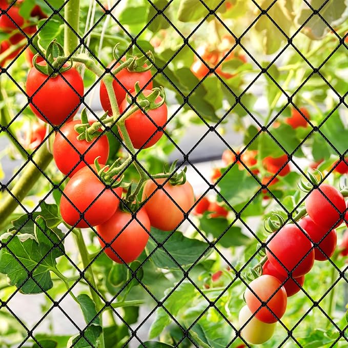 Bird Netting - Heavy Duty Nylon Net with 3/4' Mesh for Garden Protection, Chicken Coop and Orchard