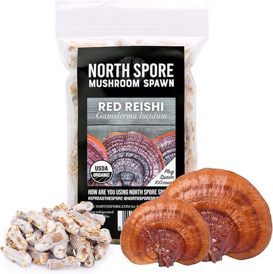 North Spore Organic Reishi (100 ct) Mushroom Plugs for Logs | Premium Quality Mushroom Plug Spawn | Handmade in Maine, USA | Grow Gourmet Mushrooms Outdoors on Logs | Ganoderma lucidum
