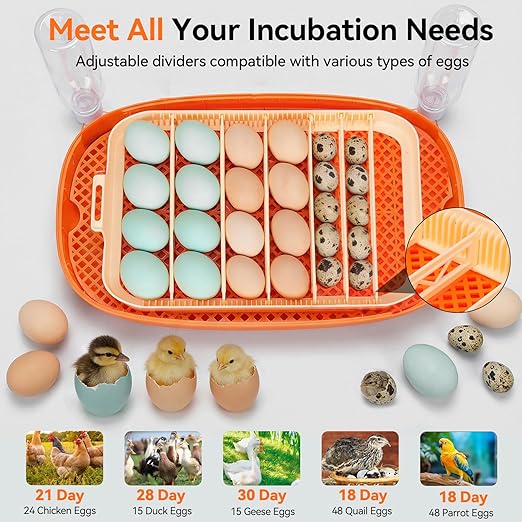 Incubators for Hatching Eggs, 24 Egg Incubator, Automatic Egg Turner with Humidity Control & Digital Temperature, Hatch Day, Auto Water Refill, 360°Viewing for Chicken, Duck, Quail, Duck, Goose