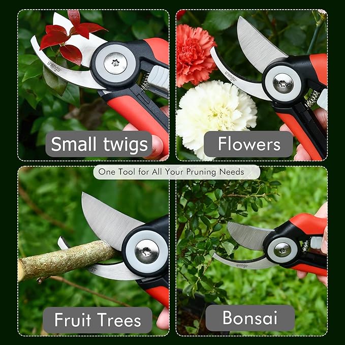 LIVINGO Bypass Pruning Shears - 8.2" Heavy Duty Garden Clippers with Curved Blades, Sharp Plant Scissors for Branches, Bushes & Shrubs, Ergonomic Handles, Spring Action