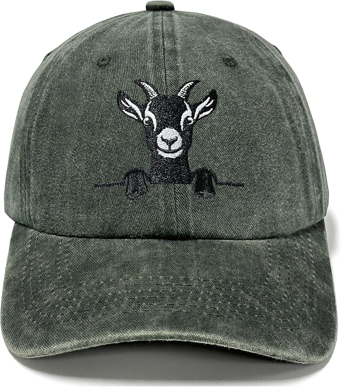 Embroidered Baseball Hats for Men and Women