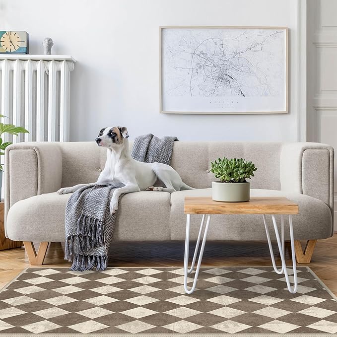 Checkered Washable Geometry Brown Area Rugs 3x5 Modern Neutral Non Slip Low Pile Indoor Floor Small Carpet for Living Room Bedroom Dinning Room Kitchen