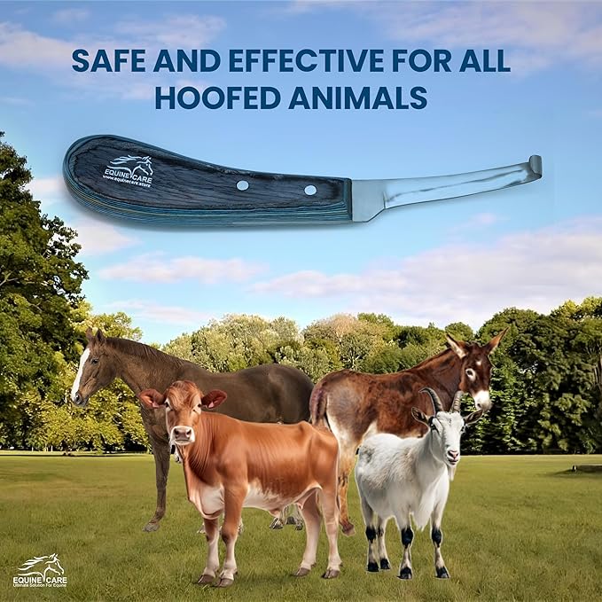 Equine Care Left-Handed Hoof Knife – Narrow Razor-Sharp J2 Stainless Steel Blade, Ergonomic Non-Slip Handle | Professional Farrier Tool for Trimming Horse, Cow, and Goat Hooves | Rust-Resistant.