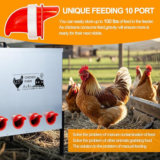 Automatic Chicken Feeder Box 100 lbs, 10 Feeding Ports, No Waste Poultry Feeder with Locking Lid and Adjustable Legs for Chickens, Ducks, Geese Galvanized Metal (100 Lbs-10 Ports)