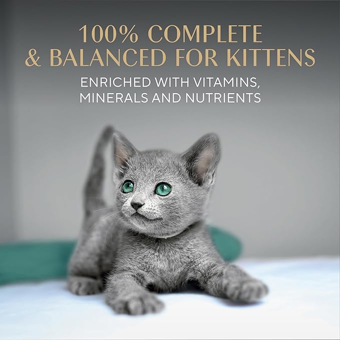 Sheba Perfect Portions Kitten Wet Cat Food Pate Chicken Entree, 2.6 oz. Twin-Pack Trays (24 Count, 48 Servings)
