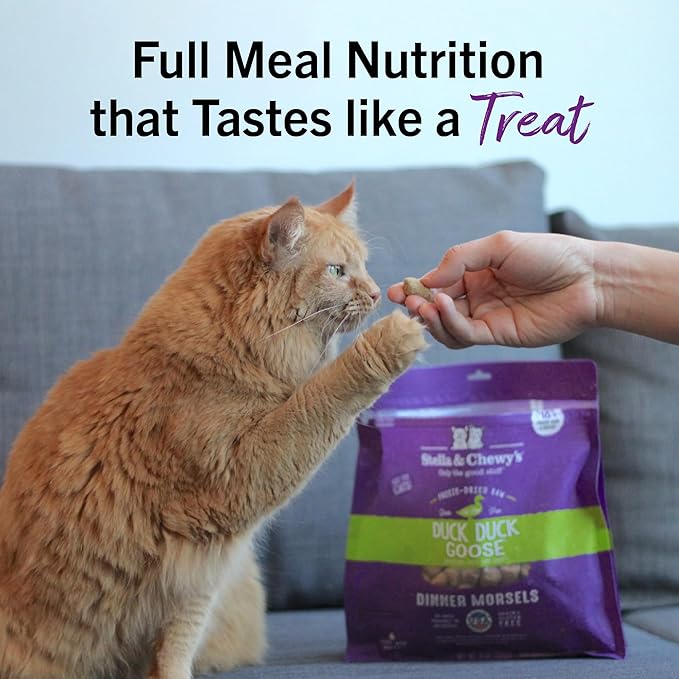 Stella & Chewy's Freeze-Dried Raw Cat Dinner Morsels - Premium Duck & Goose Recipe with 98% Cage-Free Poultry & Organs - Natural Grain-Free Cat & Kitten Food - Made in USA - 8 oz
