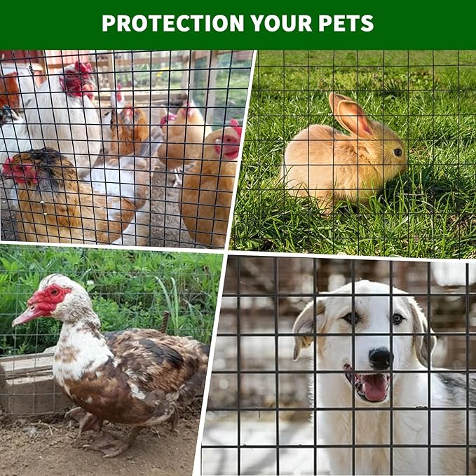 19 Gauge 1/2 Inch Hardware Cloth 72x100 Ft – Black Galvanized Steel Mesh | Chicken Wire Fence, Poultry Netting, Garden/Snake Protection & Tree Guard Rolled Fencing