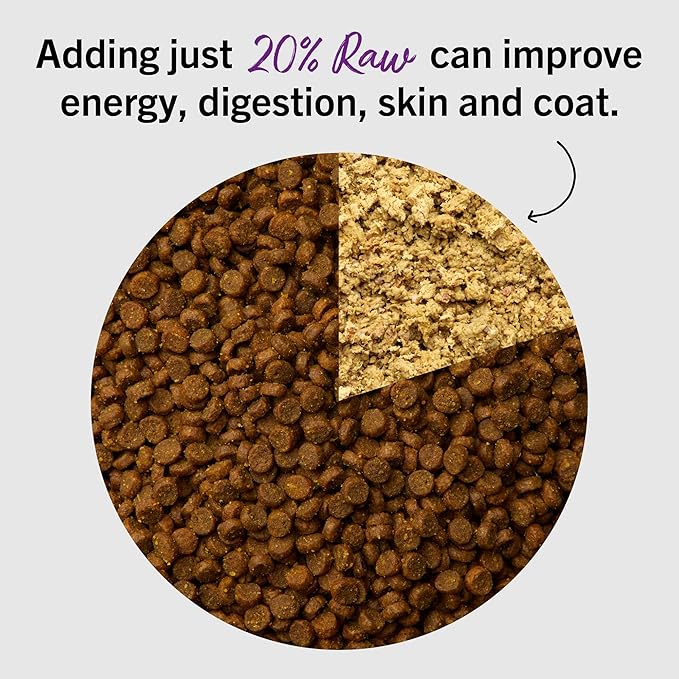 Stella & Chewy's Freeze-Dried Raw Cat Dinner Morsels - Premium Salmon & Chicken Recipe with 98% Wild-Caught & Cage-Free Protein - Natural Grain-Free Cat & Kitten Food - Made in USA - 3.5 oz