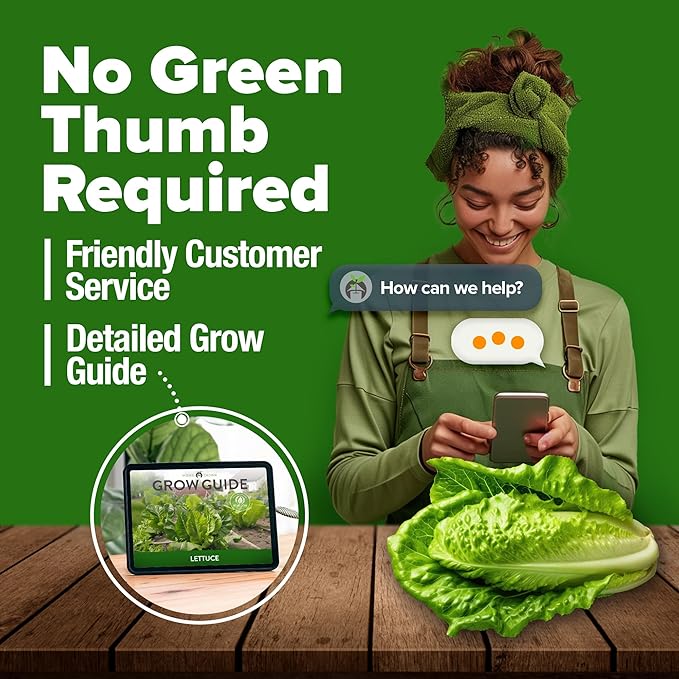 HOME GROWN Romaine Lettuce Seeds, Paris Island Bulk Pack, 7000+ Lettuce Seeds for Planting, High Germination Heirloom Vegetable Seeds,Works Indoor in Hydroponic Garden and Outdoor