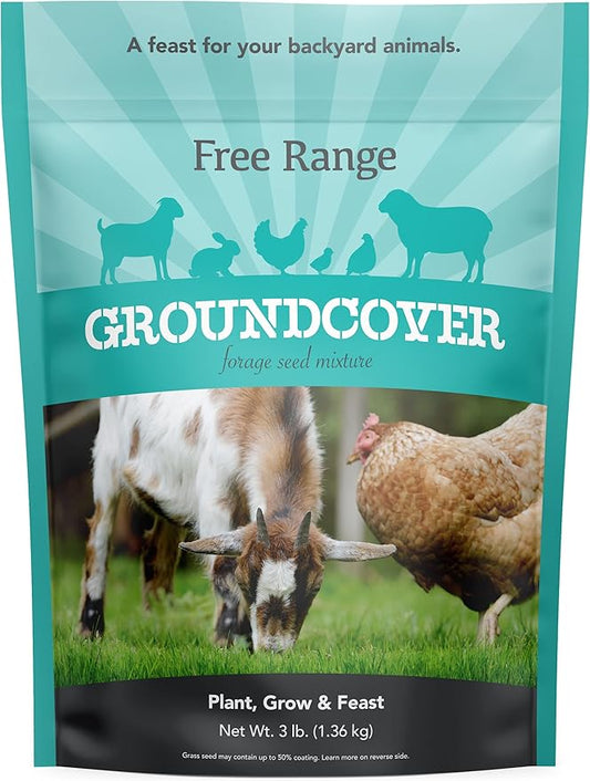 Barenbrug Free Range GroundCover Forage Seed Mixture - Ideal for Chickens, Game Birds, Goats, and Sheep - 3 lb Bag, Blue