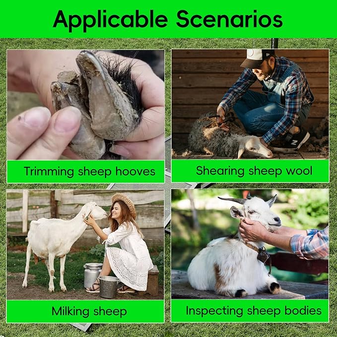 Metal Trimming Stand for Sheep Goat Milking Stand with a Ramp Livestock Stand with Adjustable Headpiece Goat Milking Stand for Clipping Hooves Black