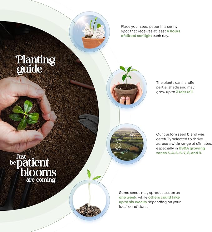 Wildflower Seed Paper - Set of 24 Purple Heart-Shaped with Envelopes and Planting Instruction, Writable & Plantable Gift for Mom and Plant Lovers, Ideal for Wedding, Memorials, Baby Showers