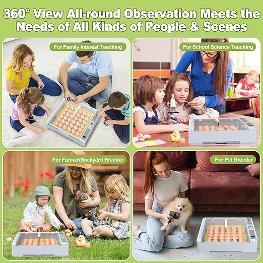 36 Eggs Incubator for Hatching Chicken/Goose/Quail/Duck/Turkey Eggs, 360° View Incubator with Automatic Egg Turning/Humidity Control/Low Humidity Alarm/Adjustable Tray, for Beginner/Farm/Teaching/Home