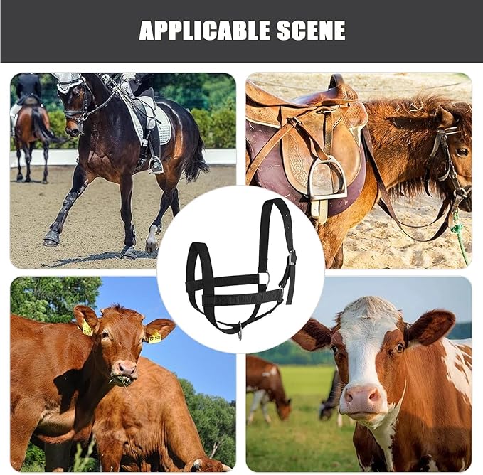 Livestock Halter - Strong PP Build, Adjustable Training Rope Set | Cattle Horse Goat Sheep Calf Handling Tool for Ranch Farm Grassland Animal Care Showing Riding Control Durable Outdoor Use