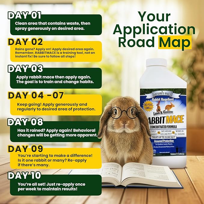Nature’s MACE Rabbit Mace, Rabbit Repellent Outdoor, Spray & Concentrate Kit, Covers 29,400 Sq Ft, Rabbit Deterrent for Lawns, Yard, Garden, Mint Scent Spray, Safe to use around Pets, People, & Plants