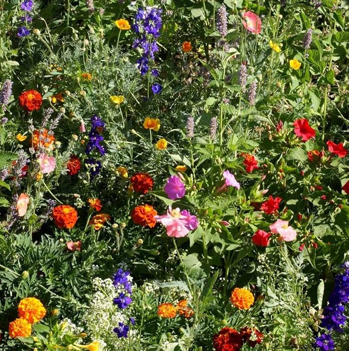 Outsidepride Deer Proof Wildflower Seed Mix - 5 lbs. Colorful Blend of Easy to Grow, Drought-Tolerant Annual & Perennial Wildflower Seeds for a Deer-Free,Vibrant Meadow & Pollinator-Friendly Garden