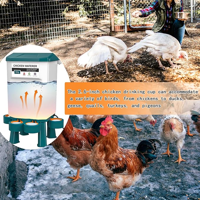 Poultry Watering Equipment, Heated Chicken Waterer, 11L Blue, 11 liters, Chicken