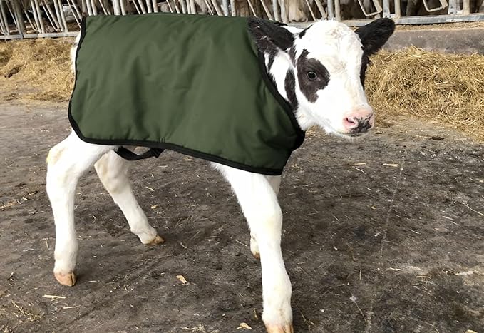 Calf Coat, Warming Blanket for Calves and Livestock, Quilted Cattle Jacket Thats Water Resistant and Protects Animals in Winter and Cold Weather - Small/Jersey, Green