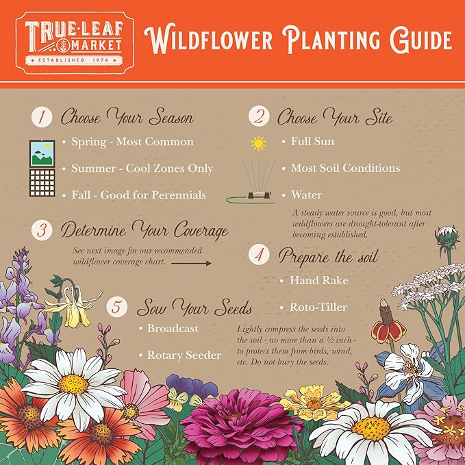 Wildflower Seeds Bulk, Southwestern Wildflower Seed Mix, 1 Lb 640,000+ Seeds, Annual & Perennial Flower, with Southwest Native Wildflowers, Flower Seed Bulk, Desert Wildflowers Mix