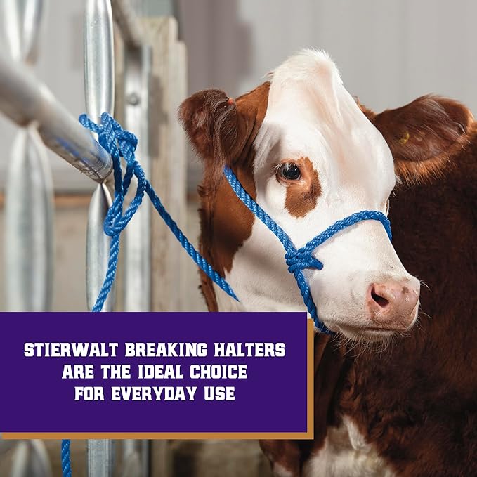 Weaver Livestock Poly Rope Breaking Cattle Halter, Adjustable, Modern Style Cow Calf Halter, Livestock Handling Equipment for Showing, Blue