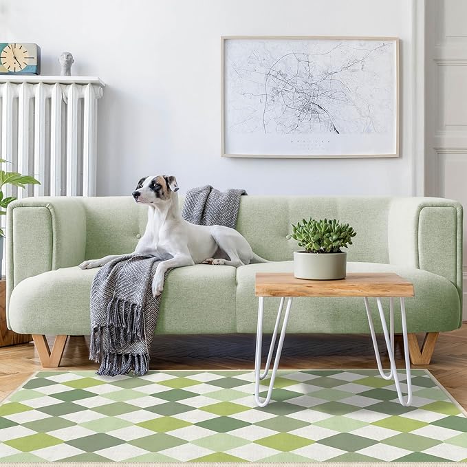 Checkered Washable Green Modern Area Rugs for Living Room Bedroom Dinning Room Kitchen 3x5 Non Slip Low Pile Indoor Floor Small Carpet