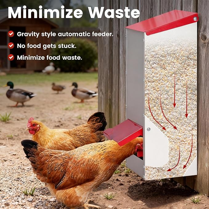 8Lbs Metal Chicken Feeder with Lockable Feed Door, Hanging Chicken Feeders No Waste Automatic Gravity Poultry Chick Bird Quail Feeder