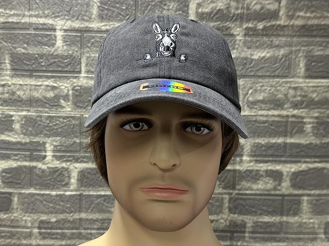 Embroidered Baseball Hats for Men and Women