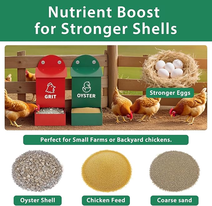 No Waste Chicken Grit and Oyster Shell Feeder 2 Pack, Wall Mounted Metal Poultry Feeders for Coop or Fence, Rustproof Dual Compartments Chicken Feeder for Backyard Flocks