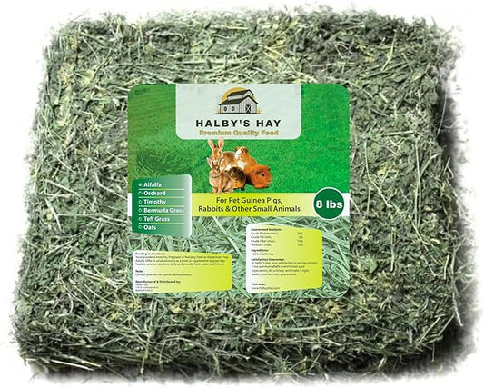 Halby’s Hay™ Premium Alfalfa Flake Hay – 8 lb Bag – Farm Fresh, Sun-Cured, Feed for Rabbits, Guinea Pigs, Chinchillas, Horses & Goats – Soft, Green, Dust-Free, High Protein USA Grown