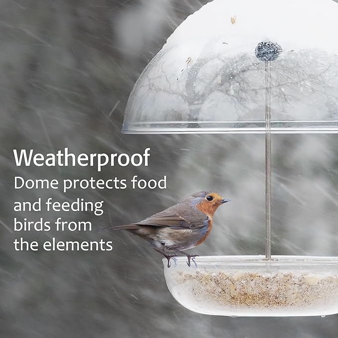 Mealworm Feeder - Jacobi Jayne® Pearl Feeder - Dome Bird Feeder for Small Birds - Bluebird Feeder for Mealworms - Platform Bird Feeder with Dome Cover - Covered Mealworm Feeder - Attracts Blue Birds