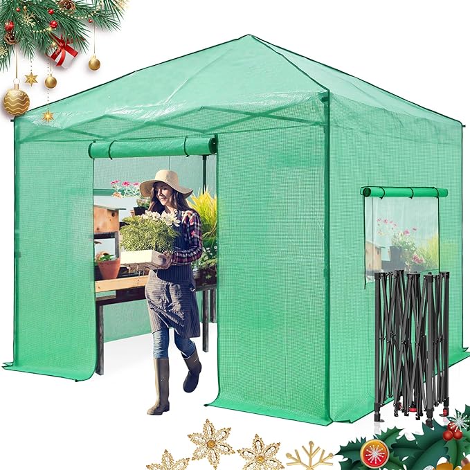 EAGLE PEAK Instant Pop-up Greenhouse, Indoor Outdoor Plant Gardening Green House, Roll-Up Zipper Doors and Side Windows, Walk in 10x10 ft, Green/Clear