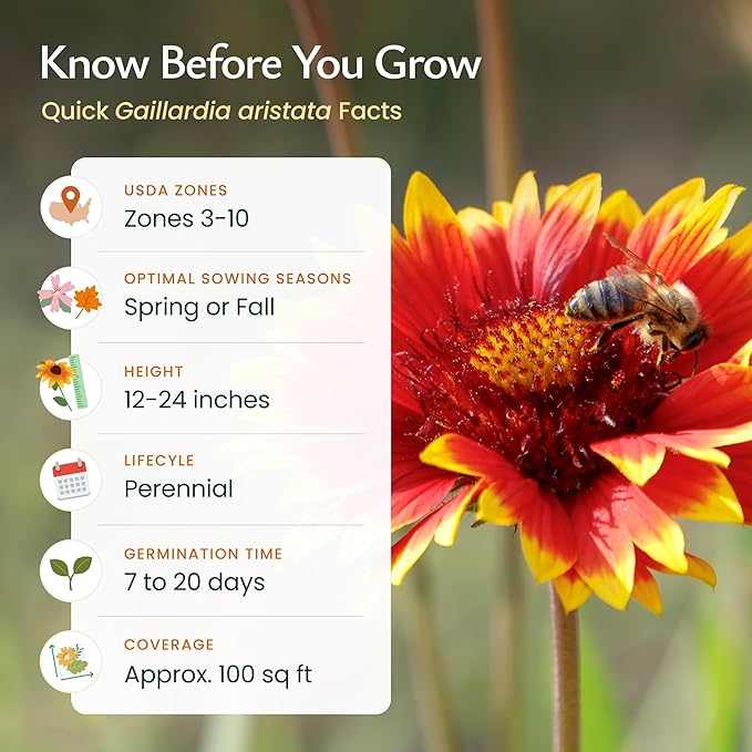 Created By Nature Indian Blanketflower Seeds, 5,640 Perennial Seeds