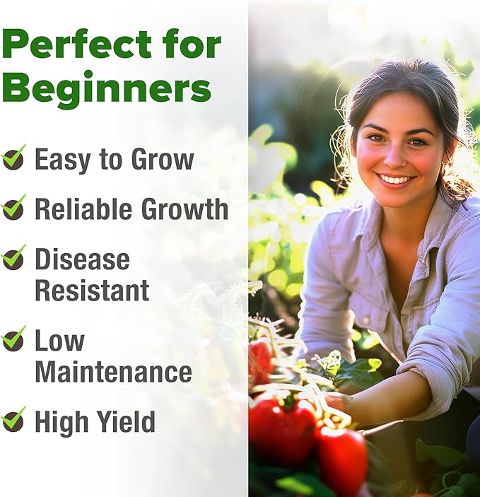 HOME GROWN San Marzano Tomato Seeds – 132 Heirloom, Seeds – High Germination Tomatoes for Indoor & Outdoor Growing – Classic Paste Variety for Gardeners & Home Use