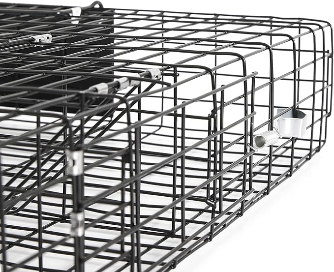 Rugged Ranch 4 Pack Squirrel Traps, Catch & Release Cage, Squirrelinator