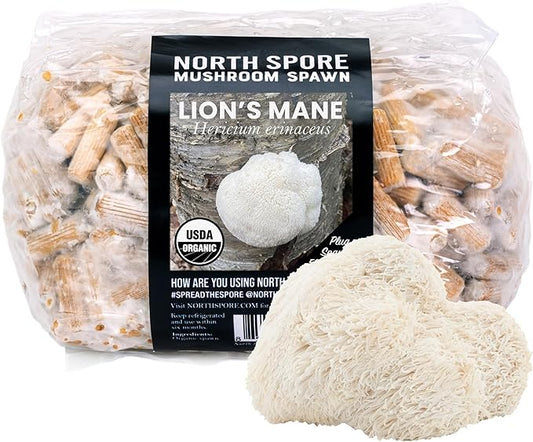 North Spore Lions' Mane Mushroom Plugs for Logs (500 Count) | Premium Quality Mushroom Plug Spawn | Handmade in Maine, USA | Grow Gourmet Mushrooms Outdoors on Logs
