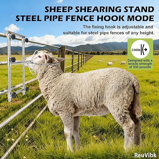Sturdy Goat Sheep Stand, Livestock Trimming Stand Adjustable Height 304 Stainless Steel Shearing Stand Portable Sheep Head Fixture, for Goat/Sheep Milking, Shearing & Trimming Stands
