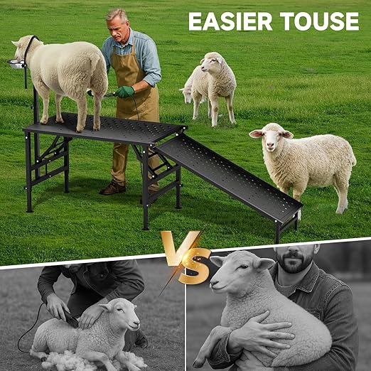 Goat Milking Stand with a Ramp, Metal Goat Stand with Feed Bin, 600LBS Livestock Trimming Stand with Height Adjustable, Sturdy Sheep Stand for Goats and Lambs, Black.