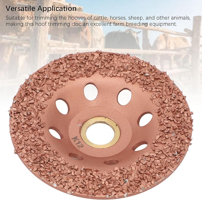 Horse Hoof Trimming Disc, Livestock Hoof Trimming Grinding Wheel, Ti Plated Electric Hoof Repair Plate for Horses Goats Cow