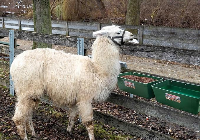 Large Feed Trough and Goat Feeder - 2 Pack Hanging Feeder with Clips, Waterer Bucket, Fence Feed Trough, Goat Supplies, 10 Quart