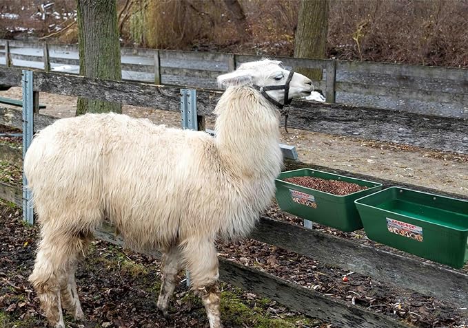 Large Feed Trough and Goat Feeder - 2 Pack Hanging Feeder with Clips, Waterer Bucket, Fence Feed Trough, Goat Supplies, 10 Quart