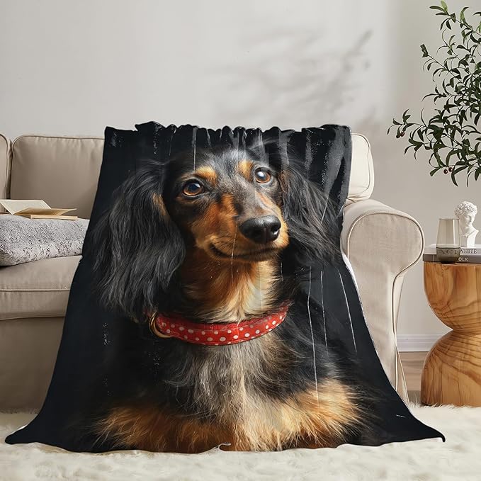 Long Haired Dachshund Blanket Dog Lovers Gifts Cozy Plush Weiner Dog Throw Blankets Fuzzy Flannel Fleece for Girls Boys Women Men 50"X40"