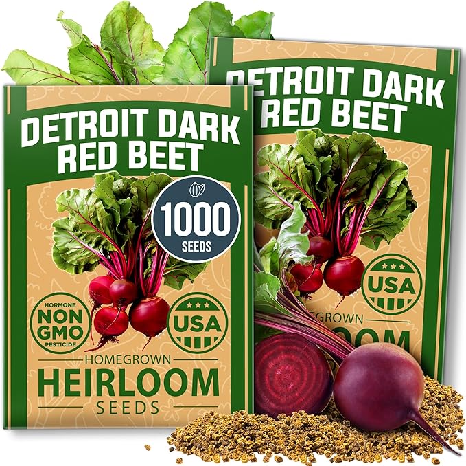 HOME GROWN Detroit Dark Red Beet Seeds 2 Pack(Beta vulgaris) 1000+ Heirloom Seeds with High Germination – Sweet,Nutrient-Rich Beets for Easy Planting in Garden Beds or Containers