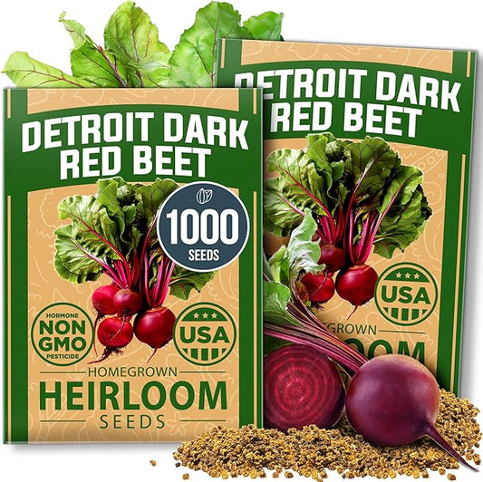 HOME GROWN Detroit Dark Red Beet Seeds 2 Pack(Beta vulgaris) 1000+ Heirloom Seeds with High Germination – Sweet,Nutrient-Rich Beets for Easy Planting in Garden Beds or Containers
