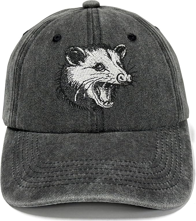 Embroidered Baseball Hats for Men and Women